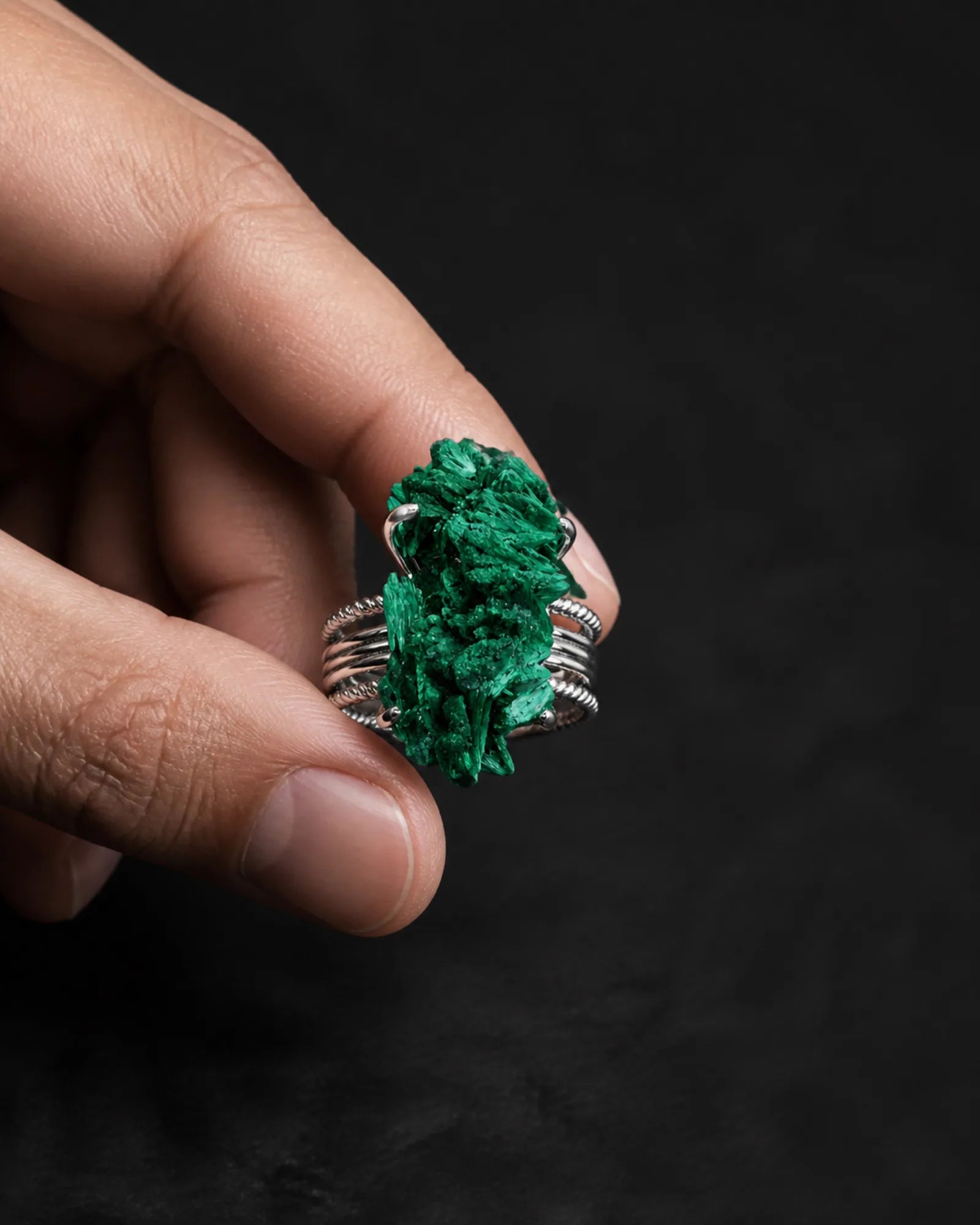 Verdant Spine Ring — JR01-006 — claim moment