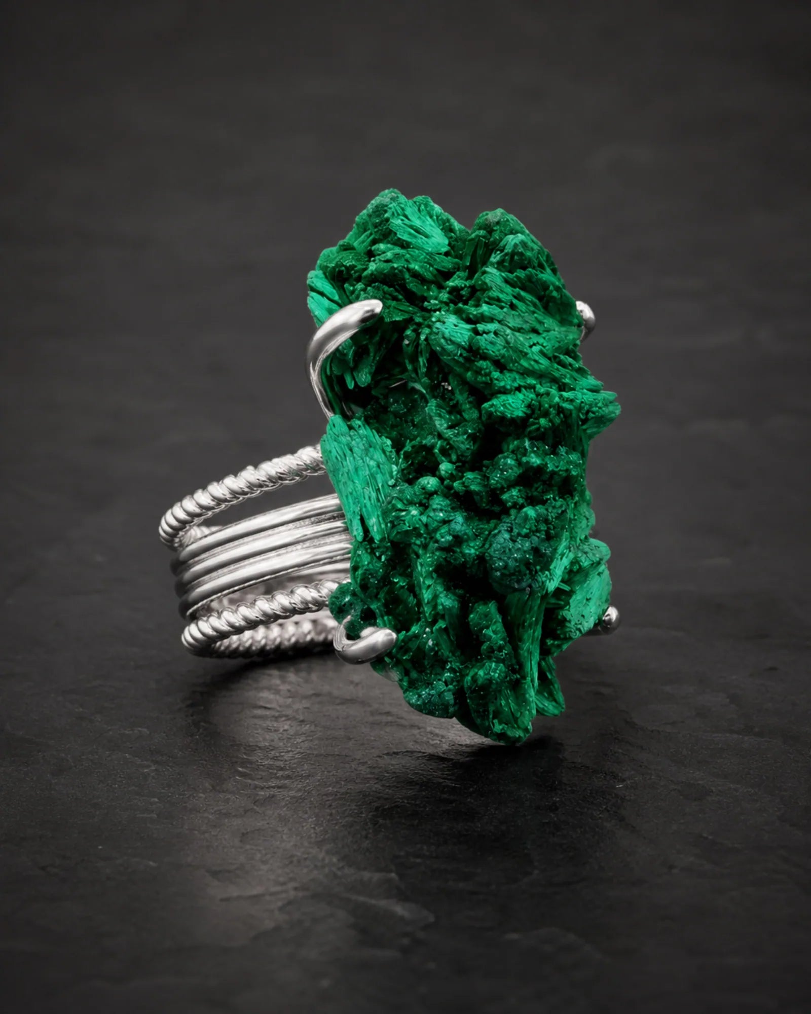 Verdant Spine Ring — JR01-006 — three-quarter construction view