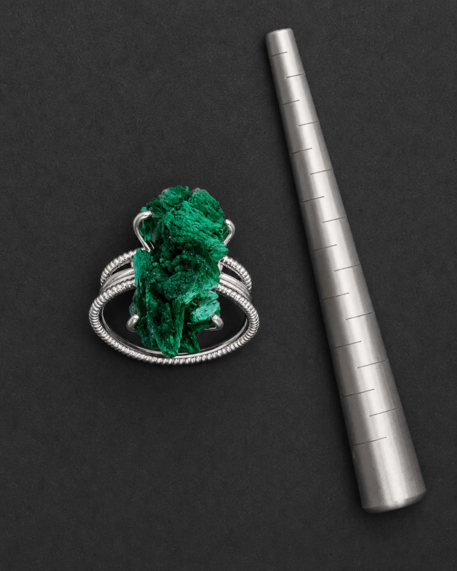 Verdant Spine Ring — JR01-006 — full structure and scale record